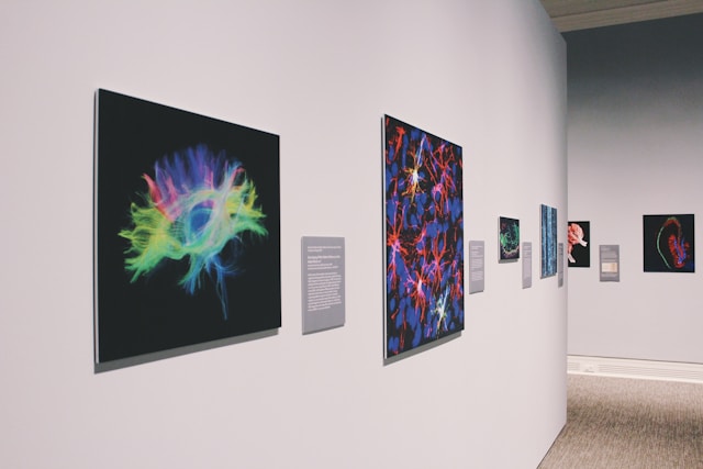 Our Gallery